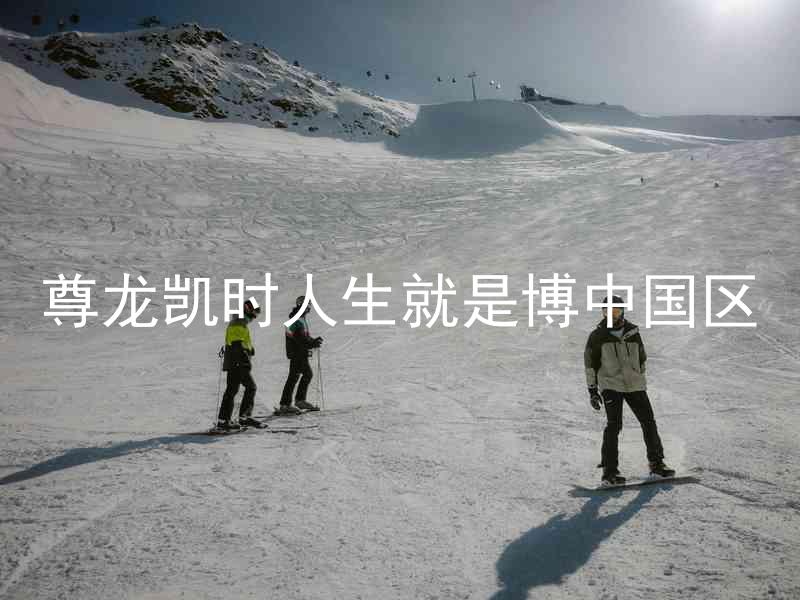 尊龙凯时人生就是博中国区